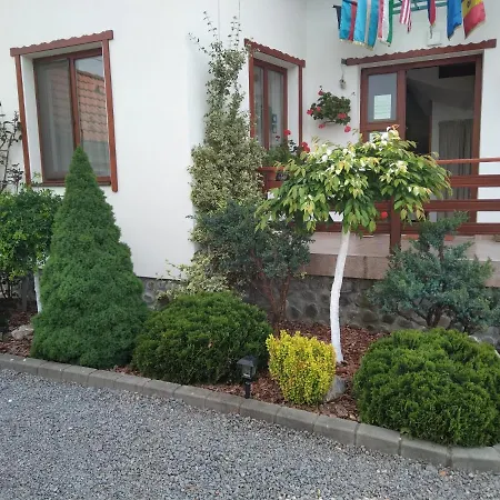 Homestay Raza Soarelui Sovata