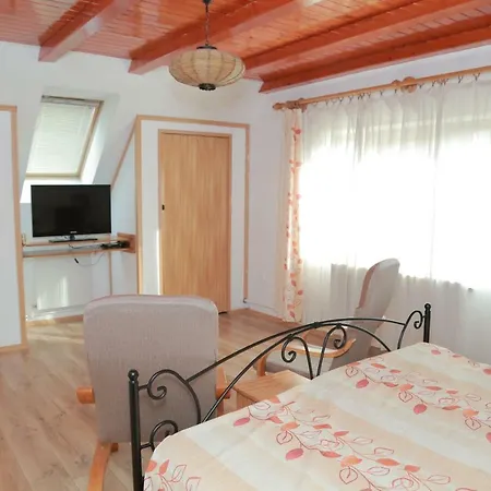 Raza Soarelui Homestay